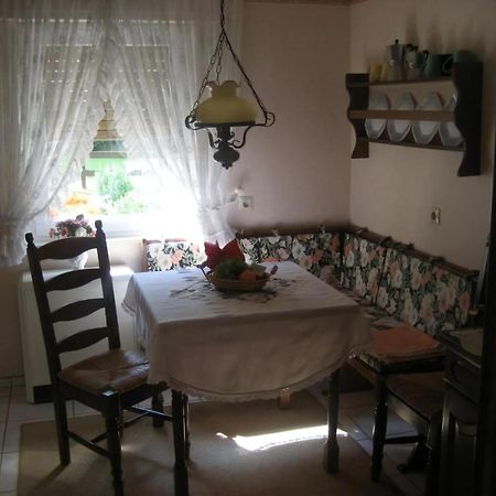 Grosse Ferienwohnung Mit Balkon Und Garten Steinen  Dış mekan fotoğraf