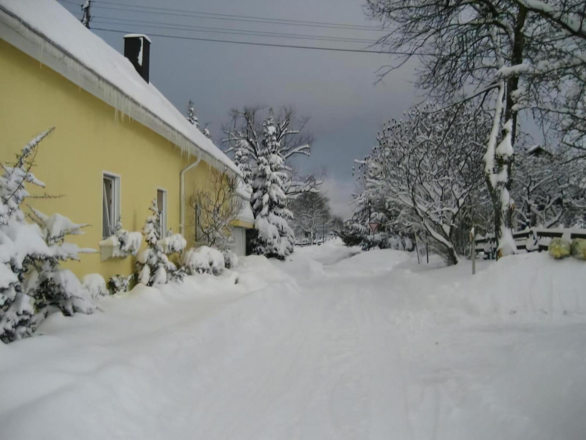 Grosse Ferienwohnung Mit Balkon Und Garten Steinen  Dış mekan fotoğraf